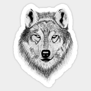 Hand drawn Wolf face Sticker